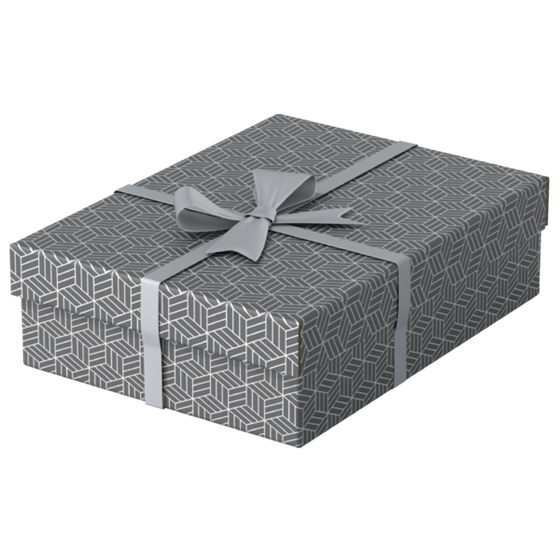 Caja De Almacenamiento Y Regalo Para El Hogar Esselte Mediana, Paquete De 3 Gris