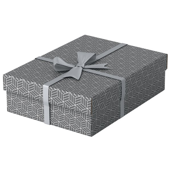 Caja De Almacenamiento Y Regalo Para El Hogar Esselte Mediana, Paquete De 3 Gris