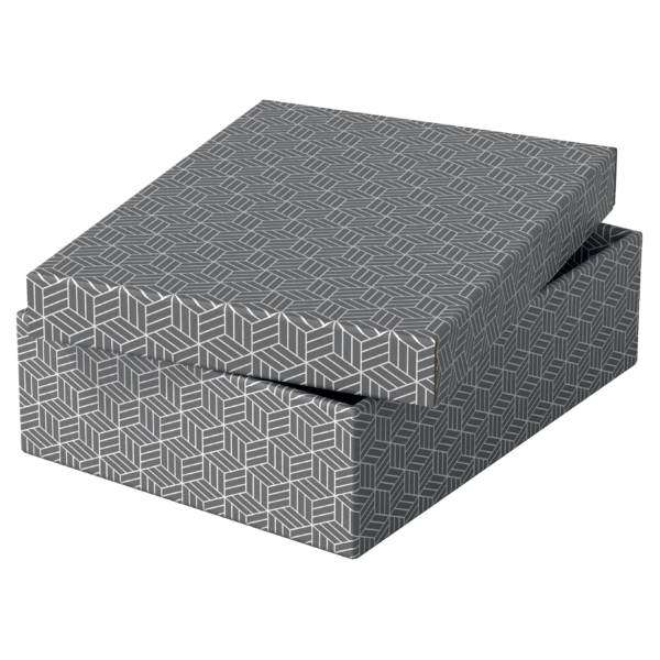 Caja De Almacenamiento Y Regalo Para El Hogar Esselte Mediana, Paquete De 3 Gris