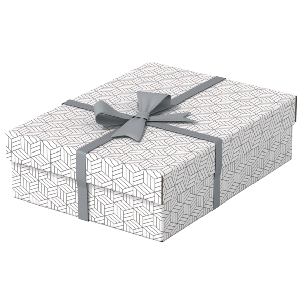 Caja De Almacenamiento Y Regalo Para El Hogar Esselte Mediana, Paquete De 3 Blanco