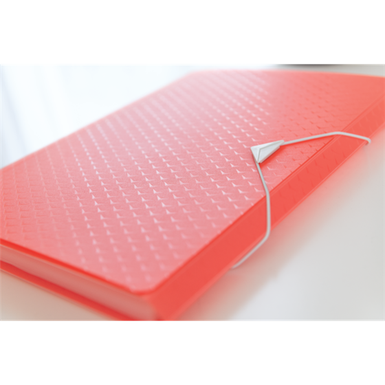 Carpeta Acordeón Esselte Colour'Breeze Coral A4