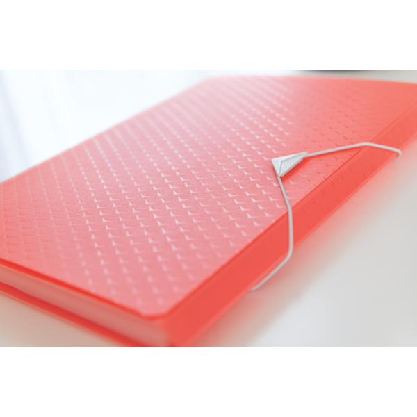 Carpeta Acordeón Esselte Colour'Breeze Coral A4