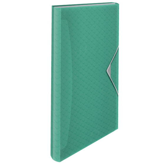 Carpeta Acordeón Esselte Colour'Breeze Verde A4
