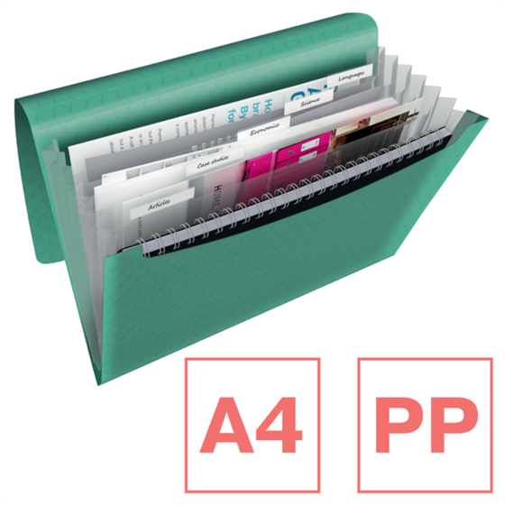 Carpeta Acordeón Esselte Colour'Breeze Verde A4