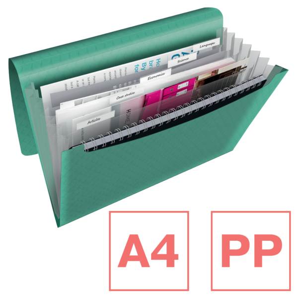 Carpeta Acordeón Esselte Colour'Breeze Verde A4