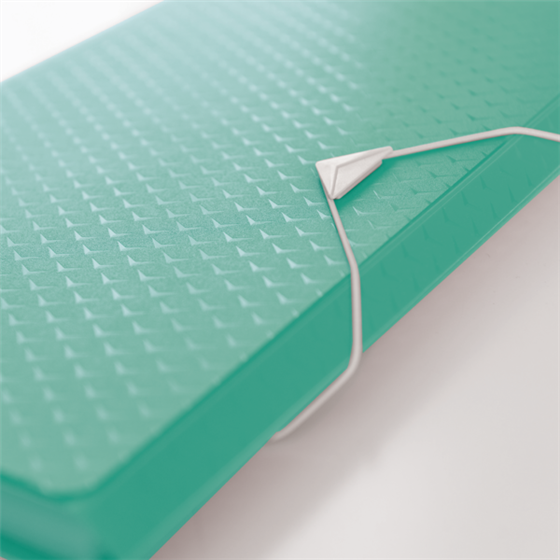 Carpeta Acordeón Esselte Colour'Breeze Verde A4