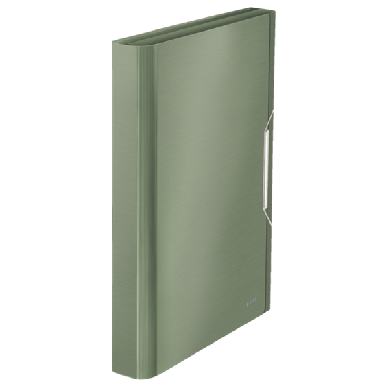 Carpeta Acordeón Style De Leitz Verdeceladón
