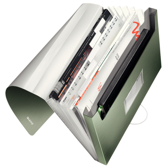 Carpeta Acordeón Style De Leitz Verdeceladón