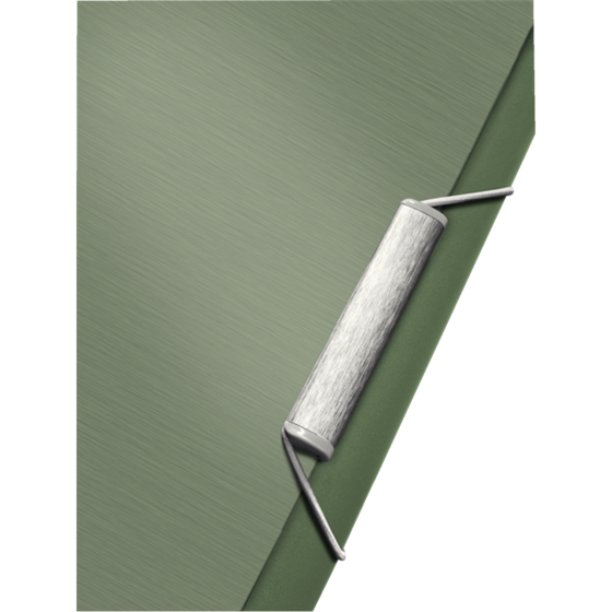 Carpeta Acordeón Style De Leitz Verdeceladón