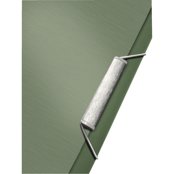 Carpeta Acordeón Style De Leitz Verdeceladón