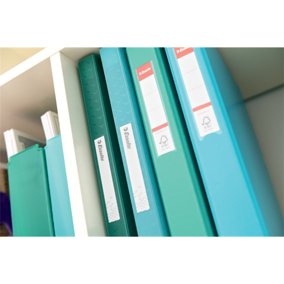 Carpeta Con 60 Fundas Esselte Colour'Breeze Verde A4