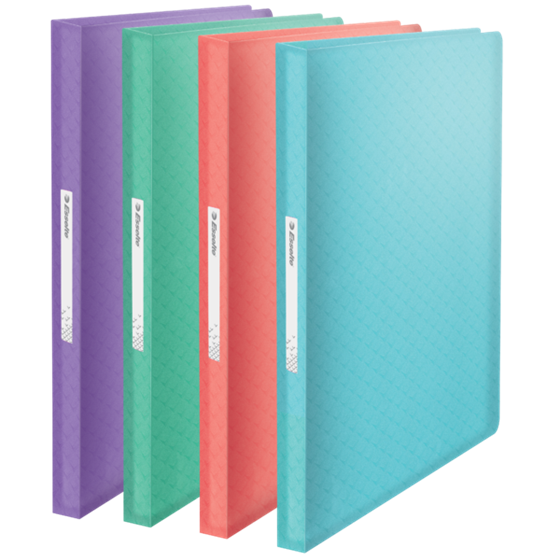 Carpeta Con 80 Fundas Esselte Colour'Breeze Surtidos A4