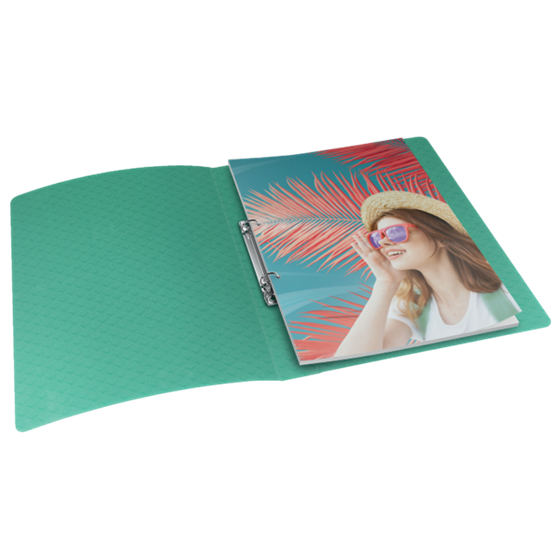 Carpeta De 2 Anillas Esselte Colour'Breeze Verde