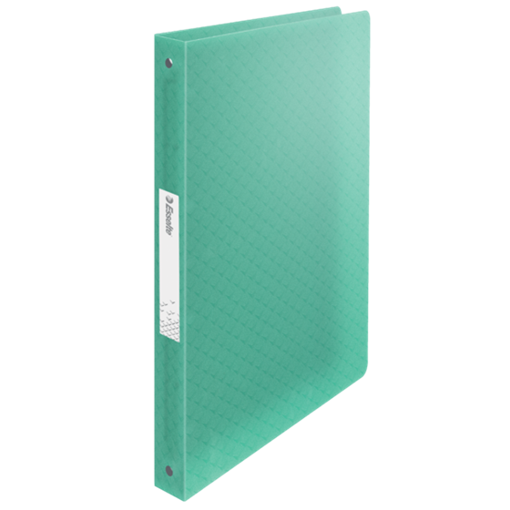 Carpeta De 4 Anillas Esselte Colour'Breeze Verde