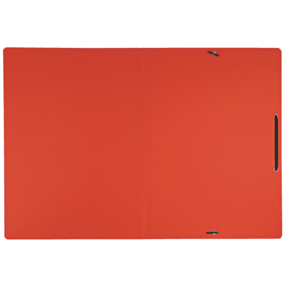 Carpeta De Cartón Con Gomas Leitz Recycle, Co2 Compensado Rojo