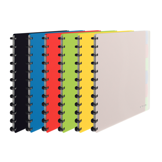 Carpeta De Fundas Extraíbles Vivida De Esselte, Translúcida Surtidos