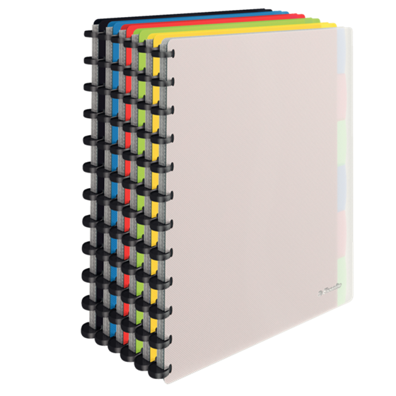 Carpeta De Fundas Extraíbles Vivida De Esselte, Translúcida Surtidos