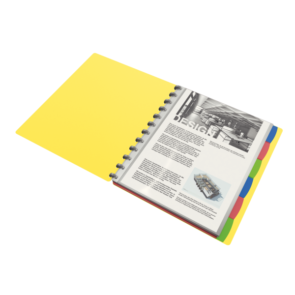 Carpeta De Fundas Extraíbles Vivida De Esselte, Translúcida Surtidos