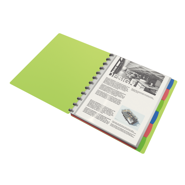 Carpeta De Fundas Extraíbles Vivida De Esselte, Translúcida Surtidos