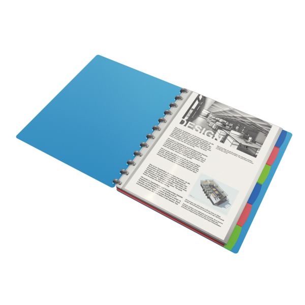 Carpeta De Fundas Extraíbles Vivida De Esselte, Translúcida Surtidos