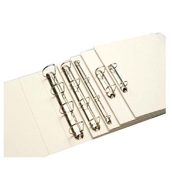 Carpeta Canguro Gama Básica De Esselte Blanco 4 Anillas Mixtas 40 Mm A4