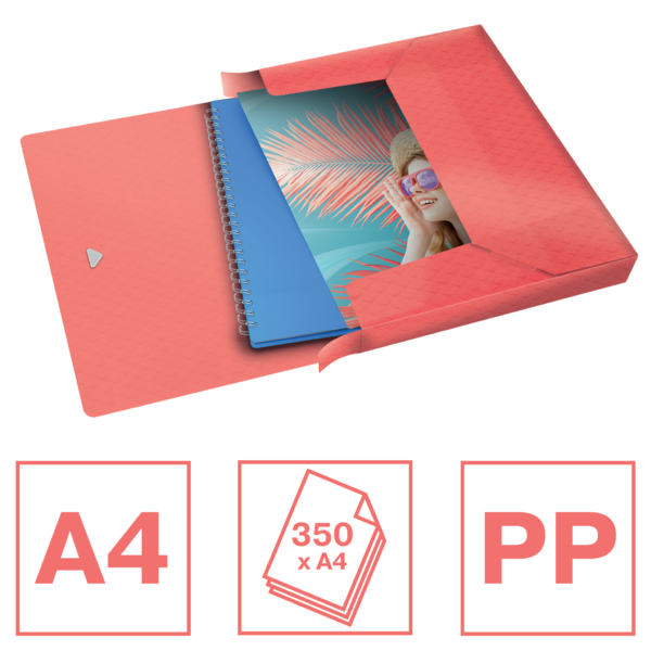 Carpeta De Proyectos Con Capacidad Extra Esselte Colour'Breeze Coral A4