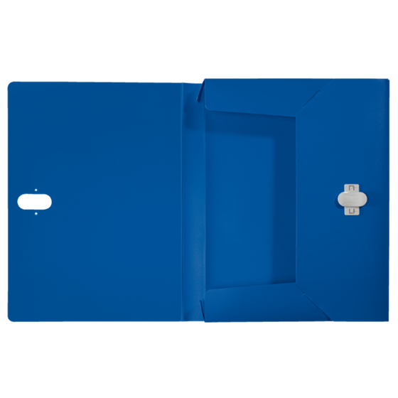 Carpeta De Proyectos Leitz Recycle, Co2 Compensado Azul A4