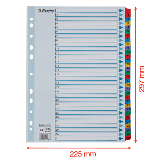 Índices Numéricos De Cartón Mylar Multicolor 1-31 A4