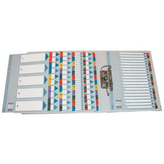 Índices Numéricos De Cartón Mylar Multicolor 1-31 A4