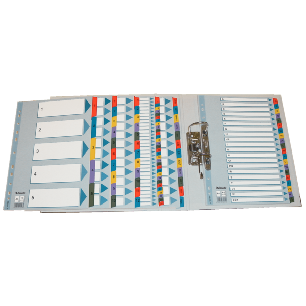 Índices Numéricos De Cartón Mylar Multicolor 1-31 A4