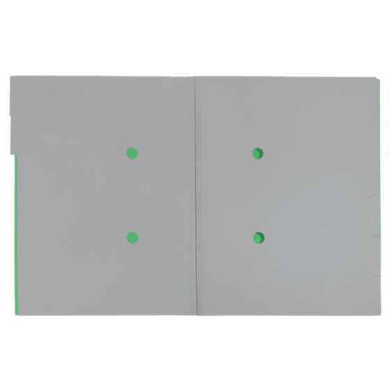 Clasificador De Cartón Leitz Recycle, Co2 Compensado Verde