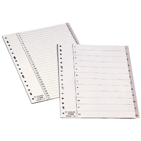 Índices Numéricos De Plástico Gris 1-31 Folio