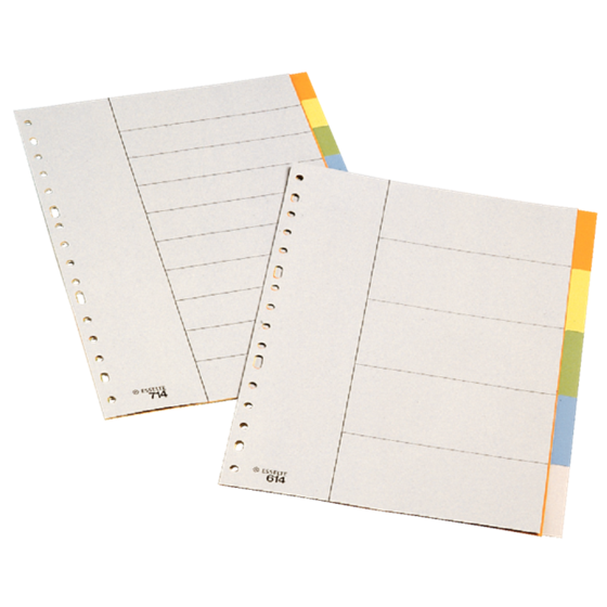 Separadores De Plástico  5 Pestañas En Blanco Folio