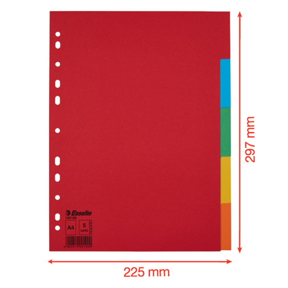 Separadores Cartón Multicolor 5 Pestañas En Blanco A4