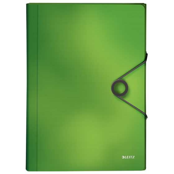 Carpeta Acordeón Solid De Leitz Verde A4
