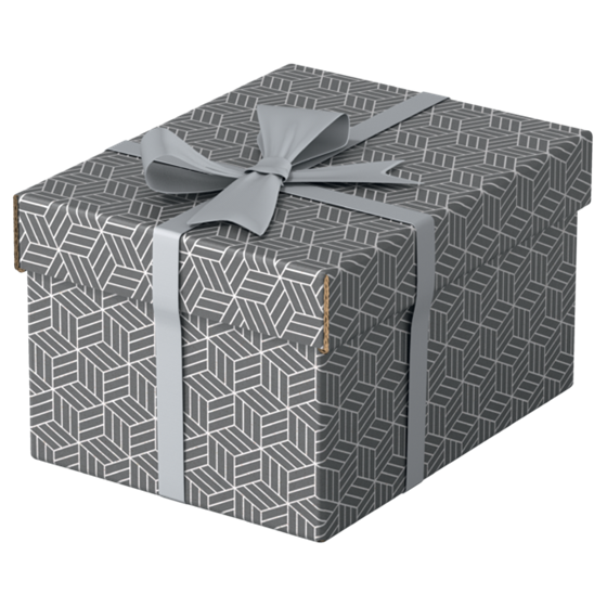 Caja Pequeña De Almacenamiento Y Regalo Esselte Para El Hogar, Paquete De 3 Gris