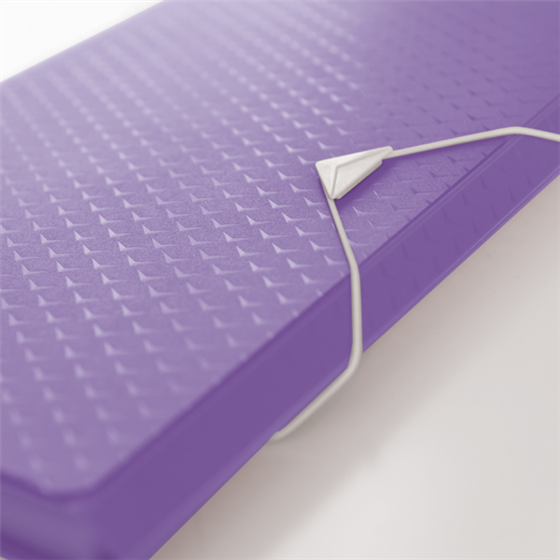 Carpeta Acordeón Esselte Colour'Breeze Lavanda A4