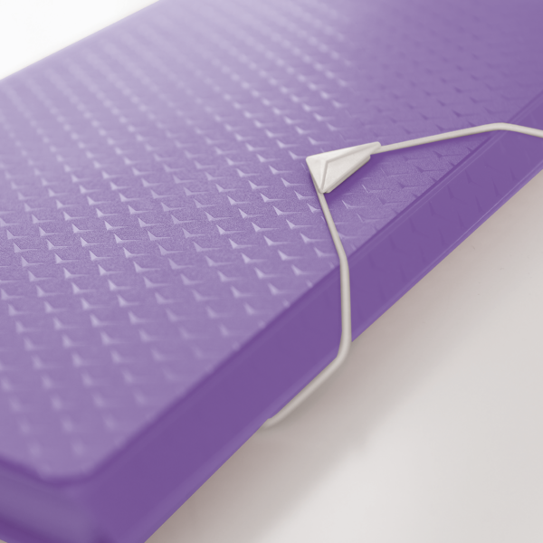 Carpeta Acordeón Esselte Colour'Breeze Lavanda A4