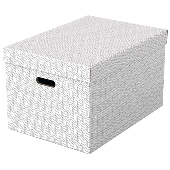 Caja De Almacenamiento Para El Hogar Esselte Grande, Paquete De 3 Blanco