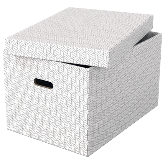 Caja De Almacenamiento Para El Hogar Esselte Grande, Paquete De 3 Blanco