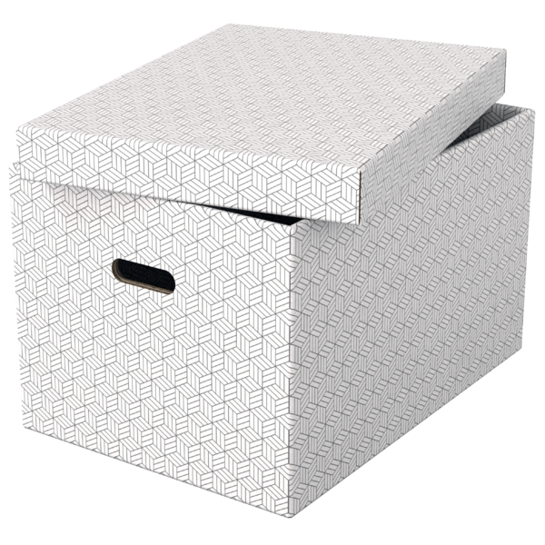 Caja De Almacenamiento Para El Hogar Esselte Grande, Paquete De 3 Blanco