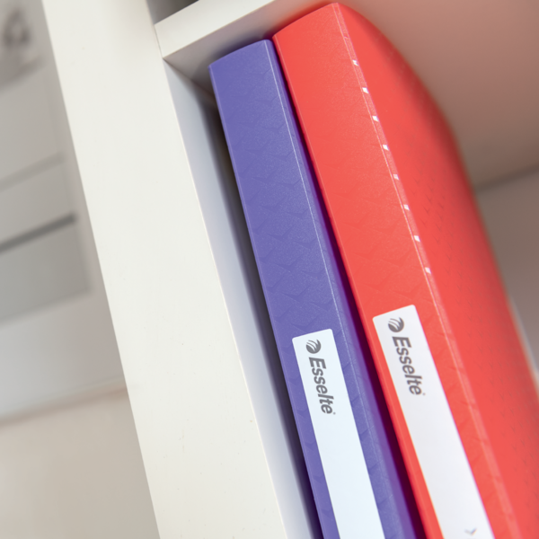 Carpeta Con 60 Fundas Esselte Colour'Breeze Coral A4