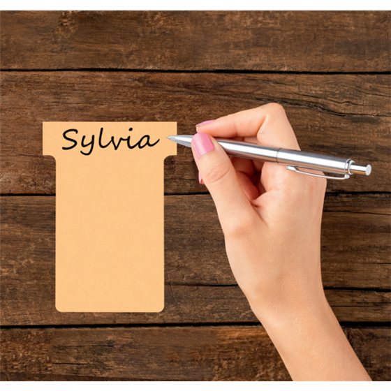 Tarjetas De Planificación Nobo T-Card - Tamaño 2 Beige