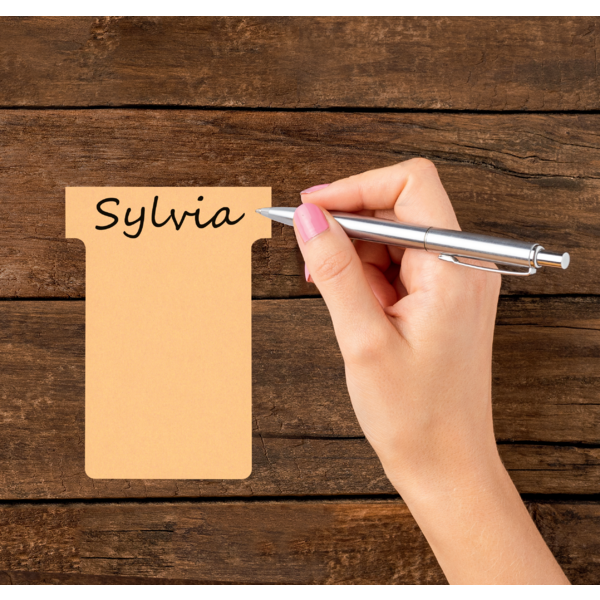 Tarjetas De Planificación Nobo T-Card - Tamaño 2 Beige