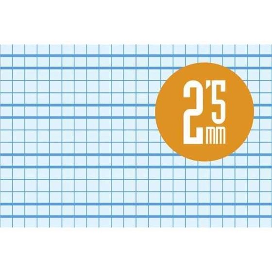 Bloc LAMELA 4º 40 Hojas Tapa Básico Cuadrovía Modelo Cuadrovía 2.5 mm.