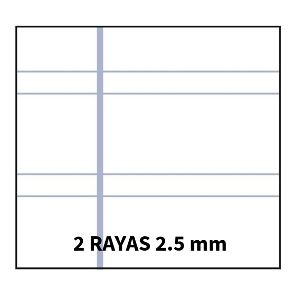 Bloc TAUROPLASTIC 4º 80H 90 g. Tapa Plástico Modelo Pauta 2.5 mm.