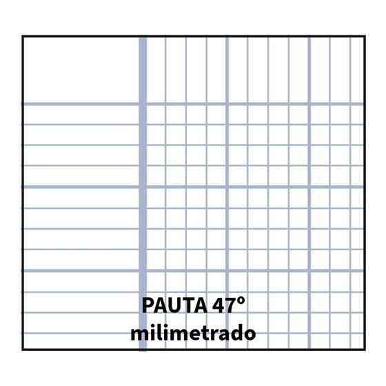 Bloc TAUROPLASTIC Folio 80H 90 g. Tapa Plástico Modelo Milimetrado