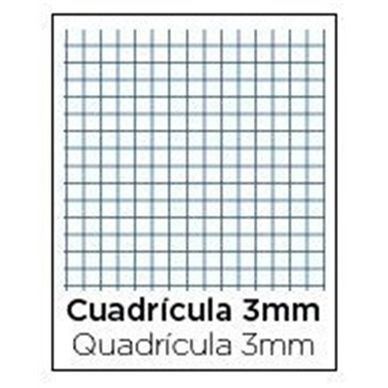 Bloc TAUROPLASTIC Folio 80H 90 g. Tapa Plástico Modelo Cuadros 3 mm.