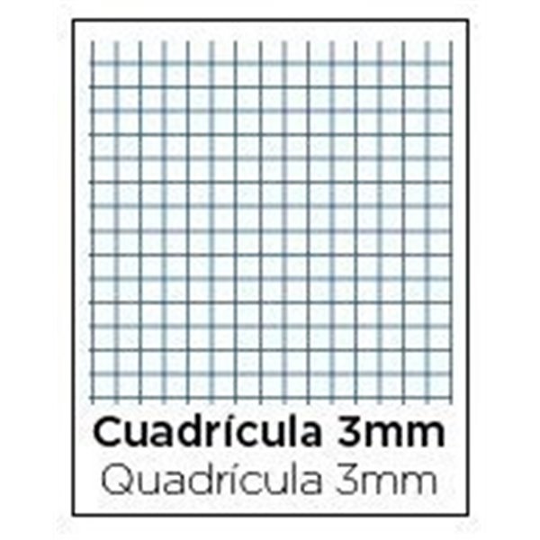 Bloc TAUROPLASTIC Folio 80H 90 g. Tapa Plástico Modelo Cuadros 3 mm.