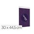 Expositor Mural Archivo 2000 Din A3 Vertical Con Taladros Espesor 2 Mm Cristal Transparente 300X445 Mm